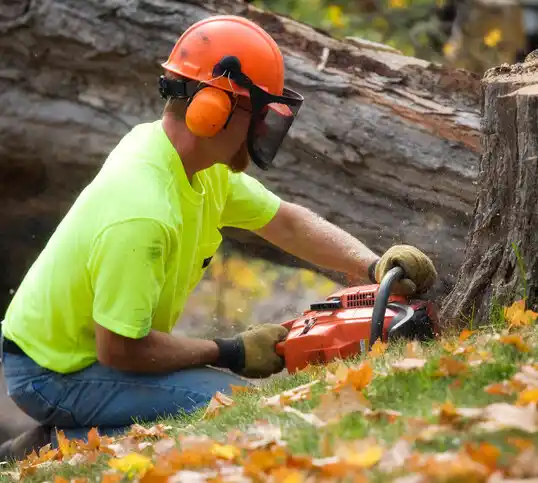 tree services Carle Place